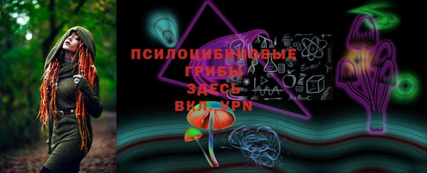 2c-b Алзамай