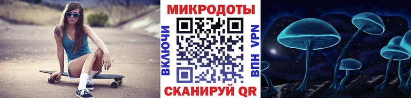 площадка клад  Алатырь  Псилоцибиновые грибы мухоморы 
